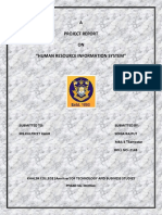 Final Report on Human Resource Management or Information System_hr