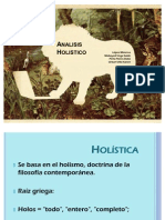 Analisis Holistico