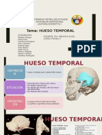 Anatomía del hueso temporal