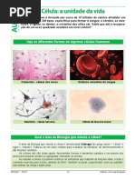 Aula 2 - Biologia 1 - 1ª Série