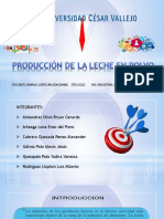 Diapositivas Produccion de La Leche