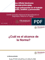 NOM-035-STPS-2018-PRESENTACION-CONFERENCIA-STPS-PPT.pdf