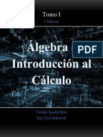Algebra e Introduccion Al Calculo 1 PDF