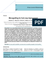 Micrografting