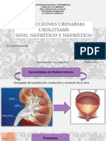 Infecciones Urinarias, Urolitiasis, Sindrome Nefritico y Nefrotico