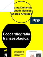 Ecocardiograma-Transesofagico PNG