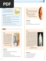 Conto, Lenda, Fábula