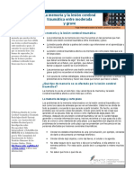 TBI_Memory_Sp.pdf