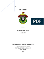 Protein Nurul Patima Rusdi O11116307