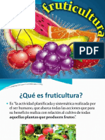 fruticultura----introduccion