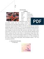 Mycobacterium Pak Tono