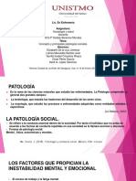 Principales patologías sociales-1.pptx