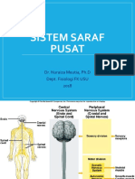3.sistem Saraf Pusat PDF
