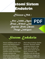 Anatomi Sistem Edokrin