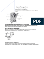 123163966 Ligamen Penyangga Uterus