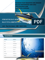 Morfologi Tuna Sirip Kuning