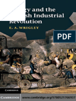 Energy and Industrial Revolution - Wrigley 2010 PDF