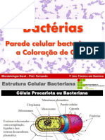 AAula 03 - Biologia de Bactérias - Parede Celular Bacteriana e A Coloração de Gram