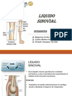 Liquido Sinovial