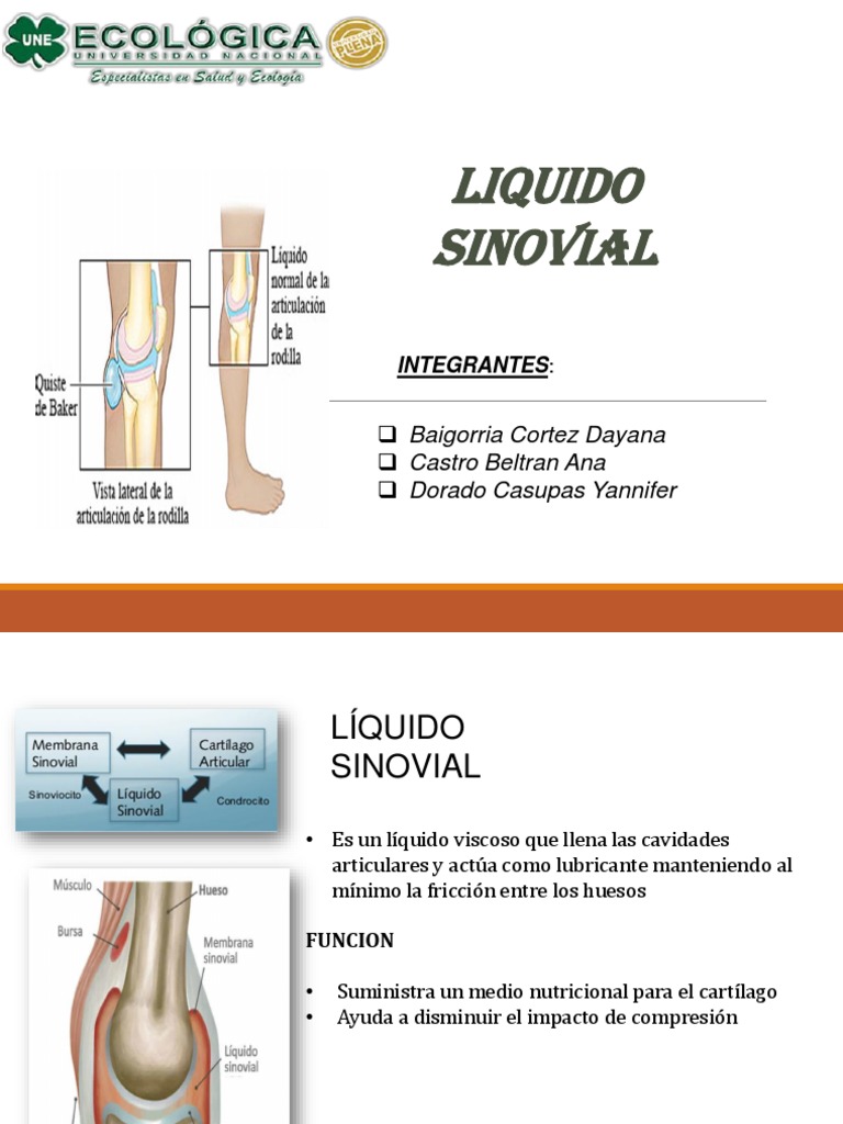 Liquido Sinovial PDF Articulación Gota