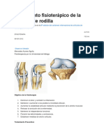 Tratamiento Fisioterápico de La Artrosis de Rodilla