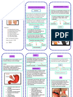 Triptico Investigacion Cientifica