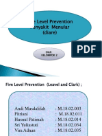 5 Level Preventif