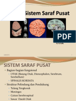 Sistem Saraf Pusat 2014 2015 PDF