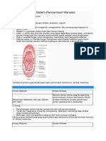 Organ Penyusun Sistem Pencernaan Manusia