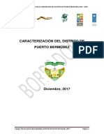 Caracterizacion de Puerto Bermudez