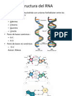 Biología Molecular