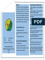 Leaflet cdl