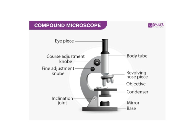 Compound Microscope | PDF