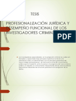 PROFESIONALIZACIÓN JURíDICA Y DESEMPEÑO FUNCIONAL DE LOS INVESTIGADORES.pptx