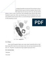 Hematologi