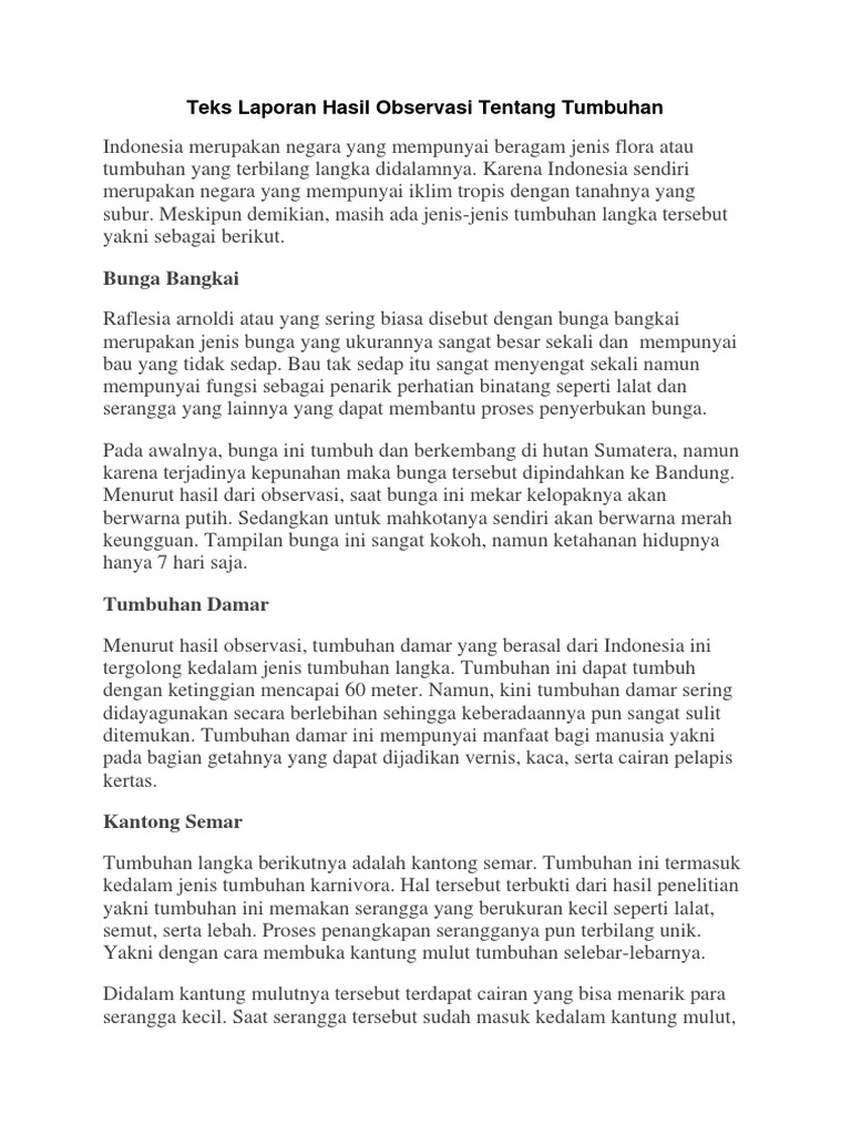 29+ Contoh Hasil Observasi Tentang Bunga Bangkai yang Mantul