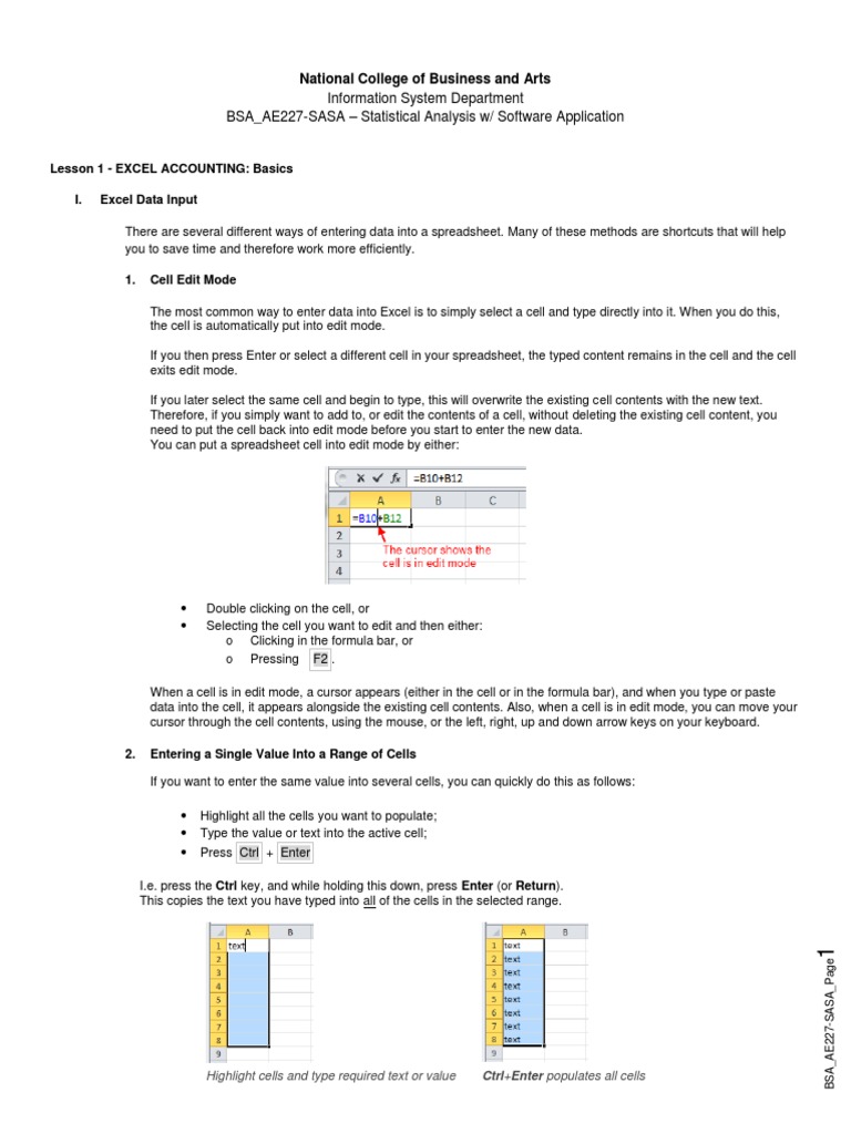 Excel Basics for Accounting | PDF | Spreadsheet | Microsoft Excel