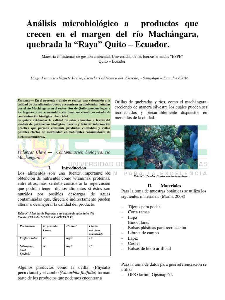 Río Machángara PDF Ecuador Alimentos