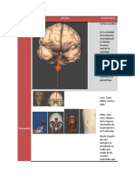 Imagenes Biotik Laura Tinoco.