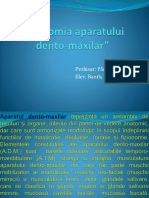 Anatomia aparatului dento-maxilar.pptx