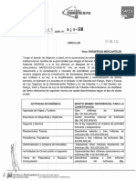 Nuevos Capitales Circular 463 SAREN PDF