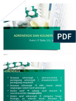 Adrenergik Dan Kolinergik PDF