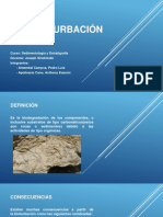 Diapositivas Sobre Bioturbación