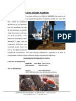 94317790-Procedimiento-Constructivo-Pilotes-Preexcavados.pdf