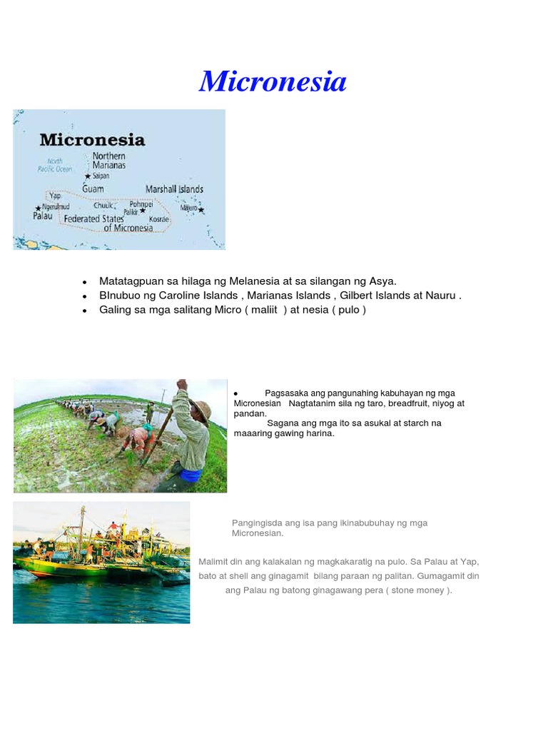 Micronesia Pdf