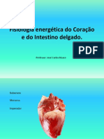 FE 4 - Coração e Intestino Delgado T. 26 A 07.07.2018.pptx
