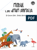 KINGDOM ANIMALIA