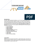 PTV Internship Report.docx