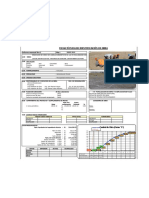 Ficha Tecnica de Identifiación de Obra