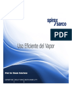 Uso Eficiente de Vapor SXS